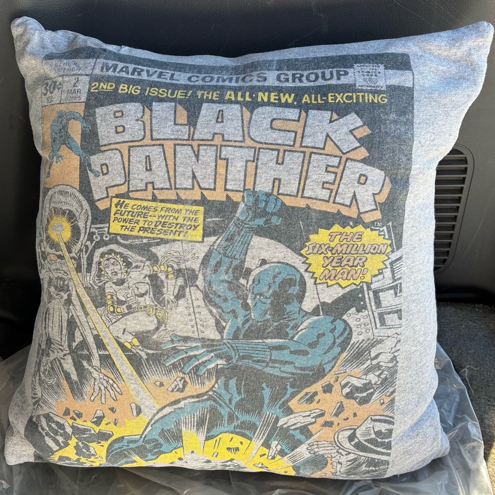 Marvel Black Panther Gray Accent Pillow